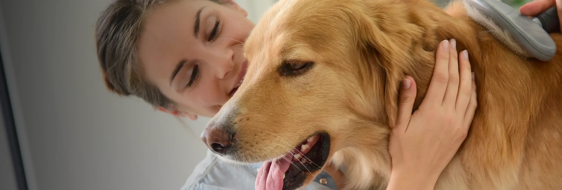 Animal Communication Services