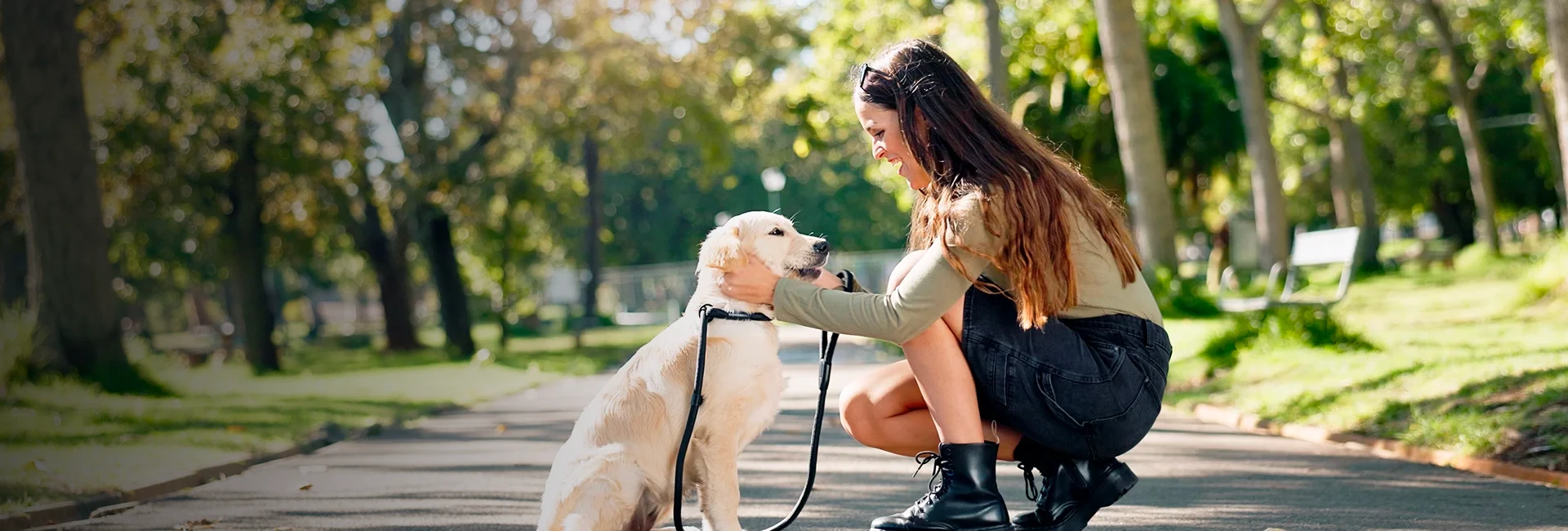 Pet Behavioral Consulting