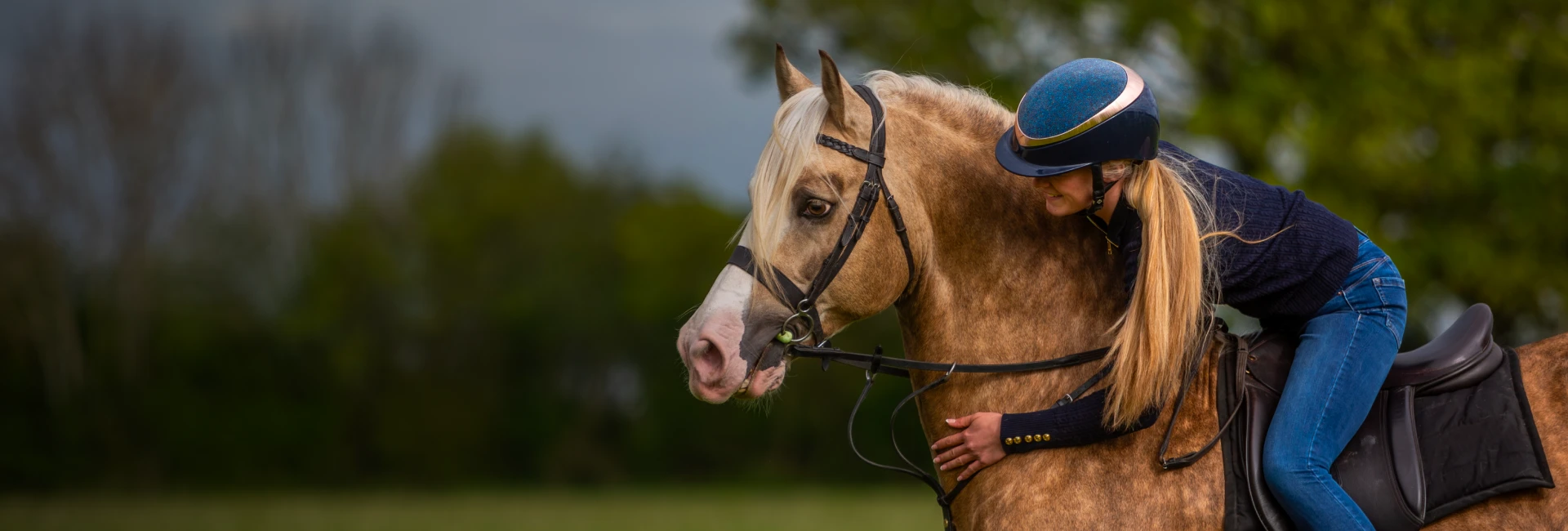 Horsemanship Lessons