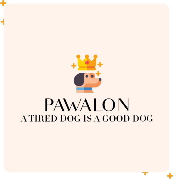 Experienced dog walker specialist in Medford for social, active dogs