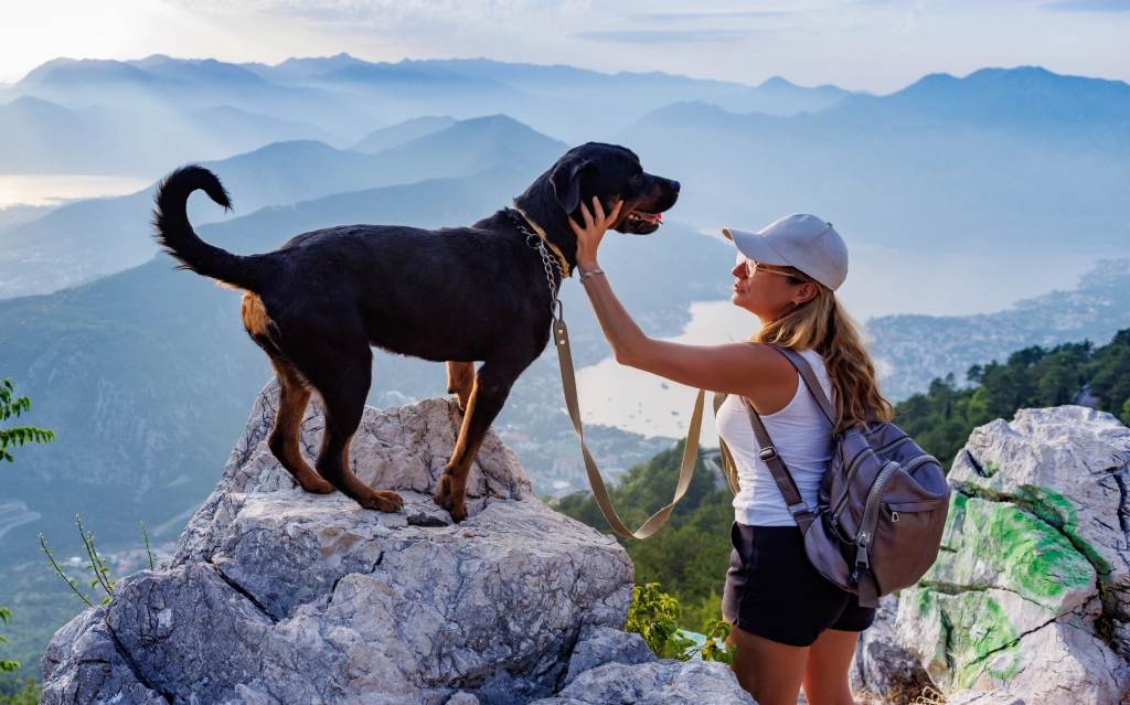 Dog hiking adventures in Medford on trails for fitness and fun