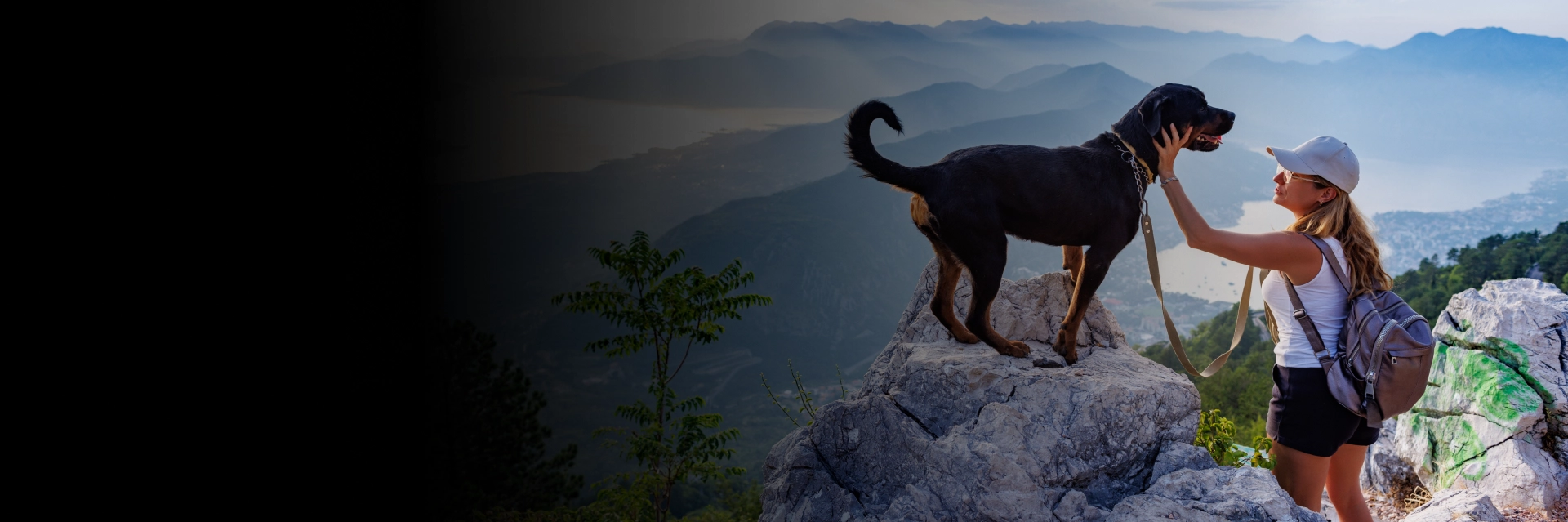 Dog hiking adventures in Medford on trails for fitness and fun