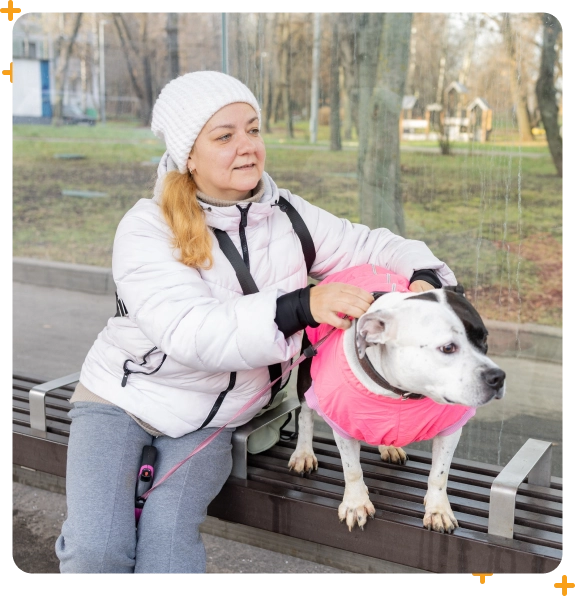 Group dog walking in Medford for social, active dogs