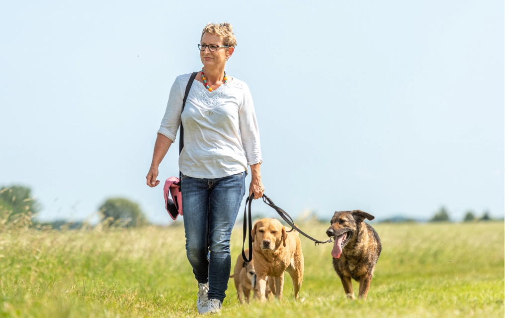 Group dog hiking services in Medford with safe pack hikes