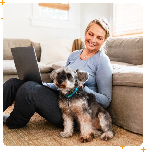 Dog transportation service in Medford for guided hikes and adventures