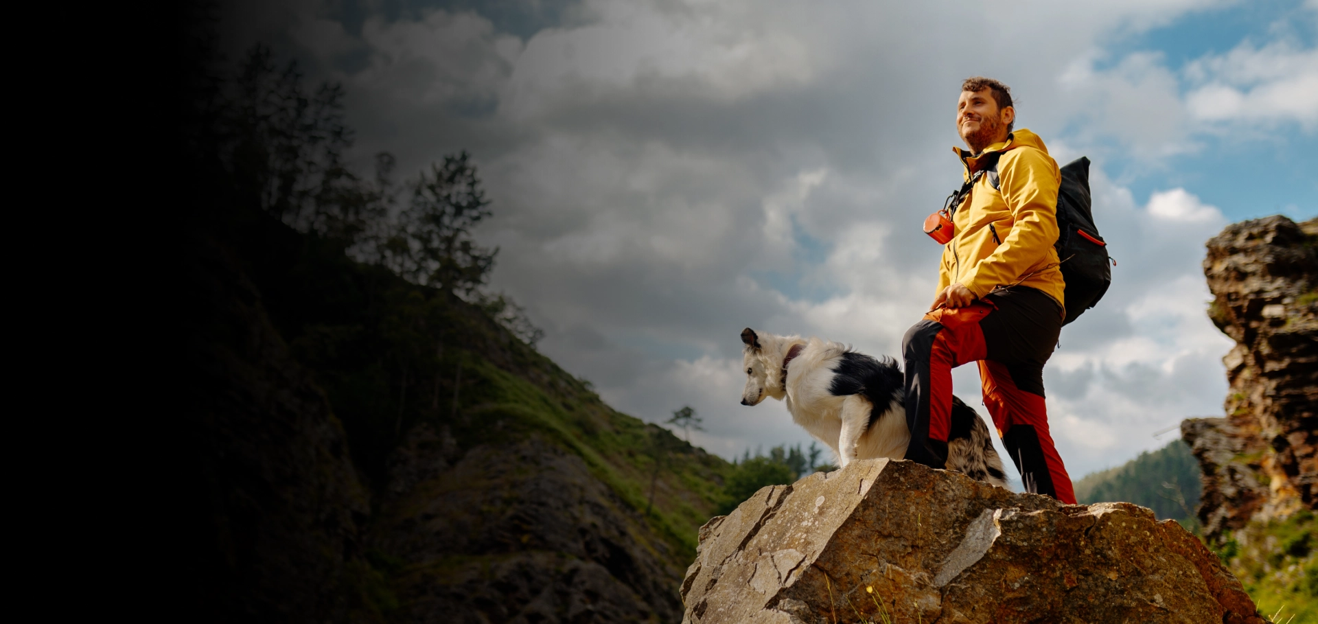 Adventure dog walking services in Medford for happy, active dogs