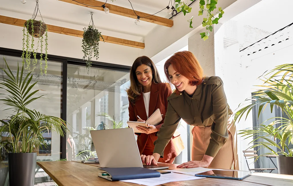 IT Consulting Services Fallbrook