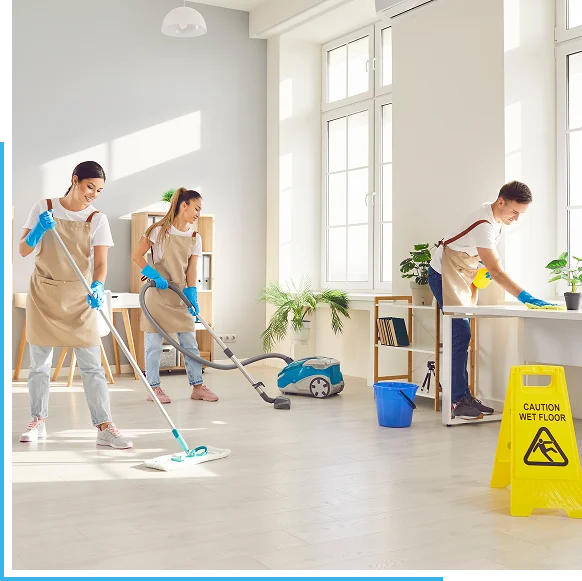 Lawn Maintenance Mississauga