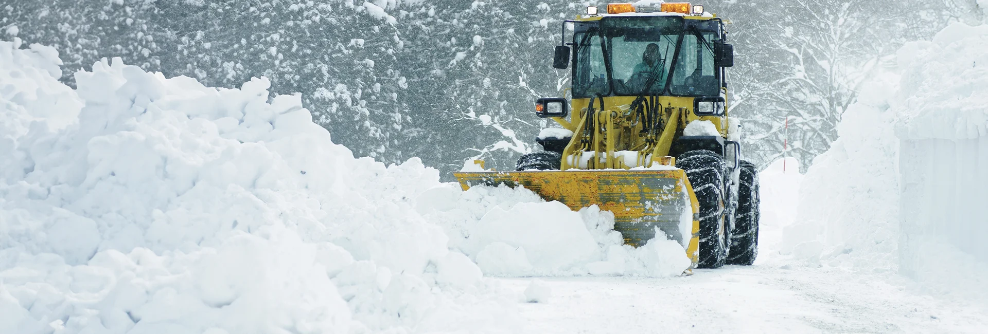 Property Maintenance Services