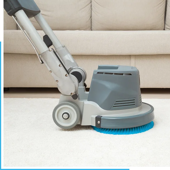 Routine Facility and Surface Cleaning