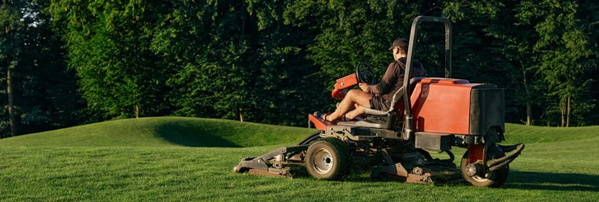 Landscaping Services Mississauga