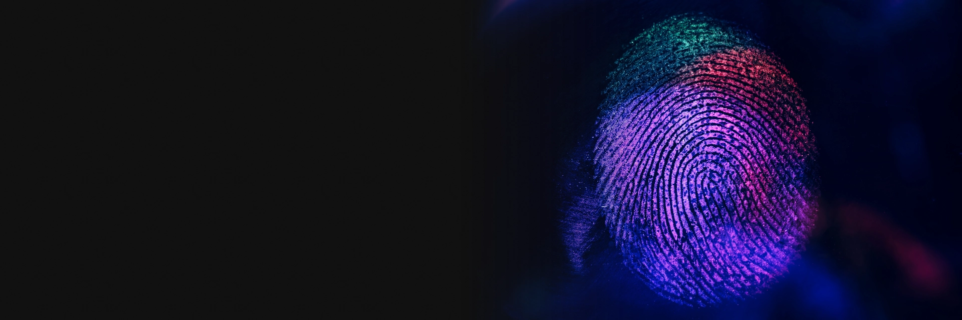 Fingerprinting services in Houston for background verification