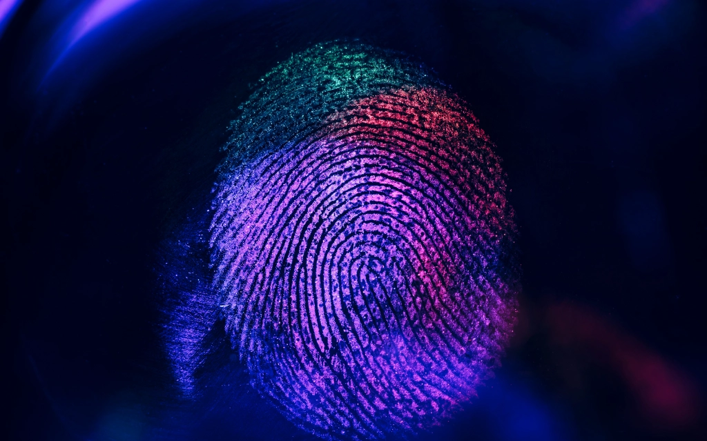 Fingerprinting services in Houston for background verification