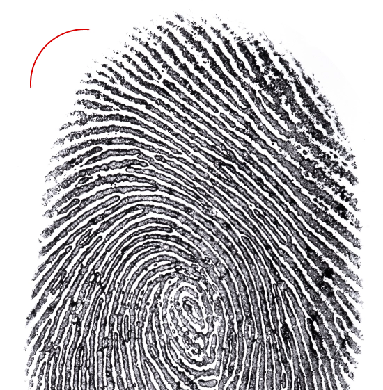 FD 258 fingerprinting cards meeting agency standards