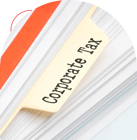 Small business tax filing with accurate reporting