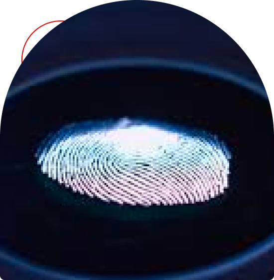 Franchise tax filing in Houston with deadline support