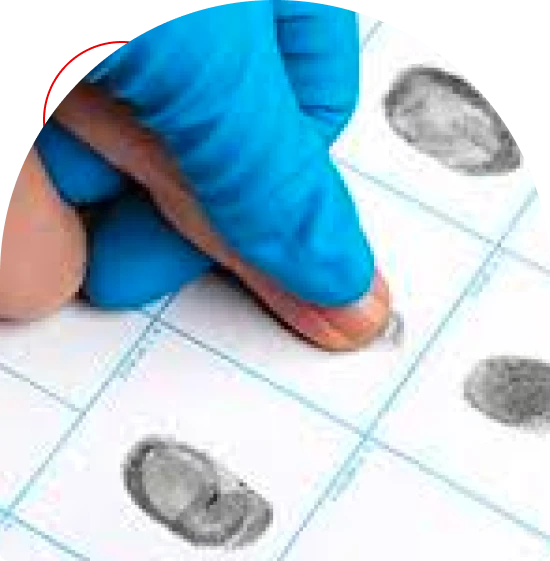 Franchise tax filing in Houston with deadline support