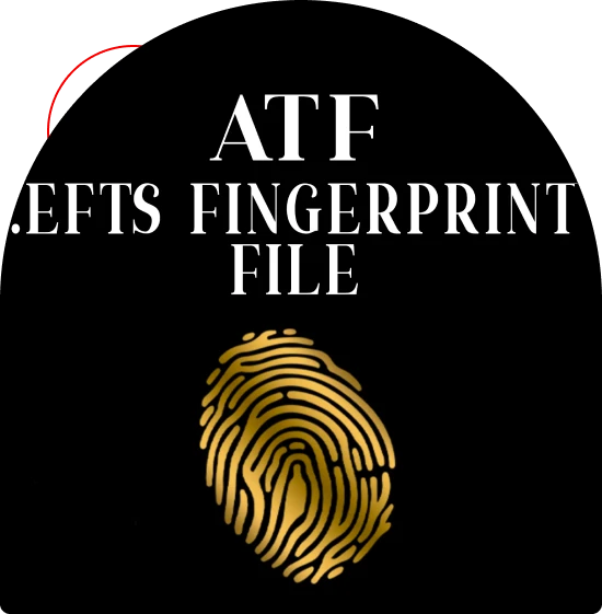 Franchise tax filing in Houston with deadline support