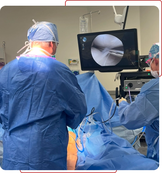 Expert Evidence and Legal Language Translation