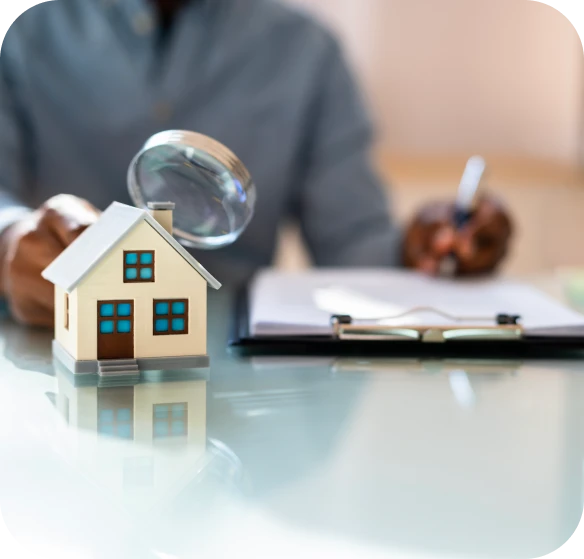 Detailed Inspection Reports and Walkthrough