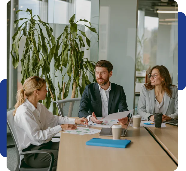 About Brand Consultant 