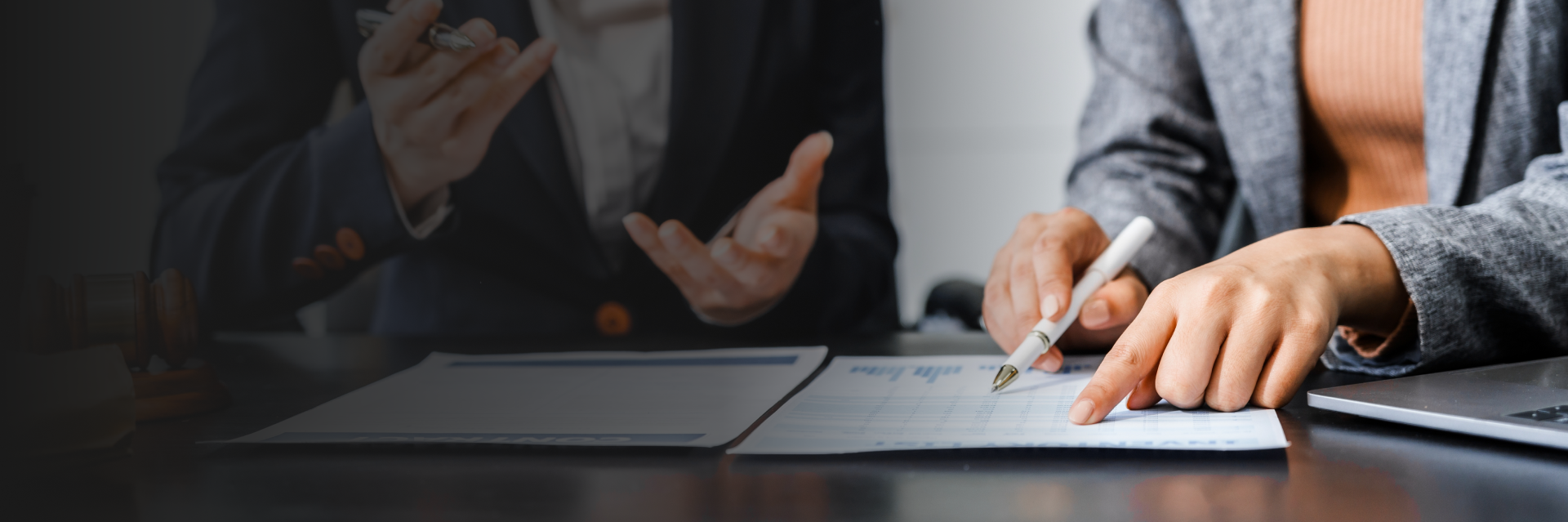 Expert Case Review Services