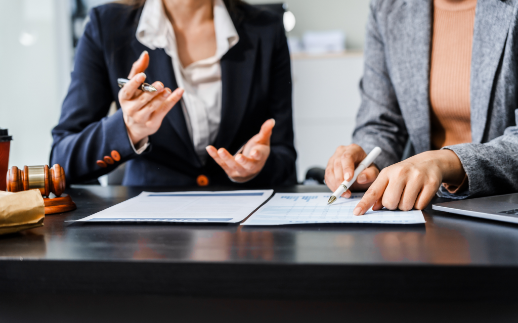 Expert Case Review Services


