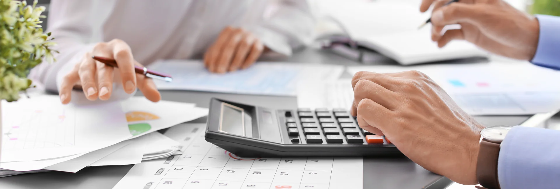 Financial Reporting Services North Carolina & South Carolina
