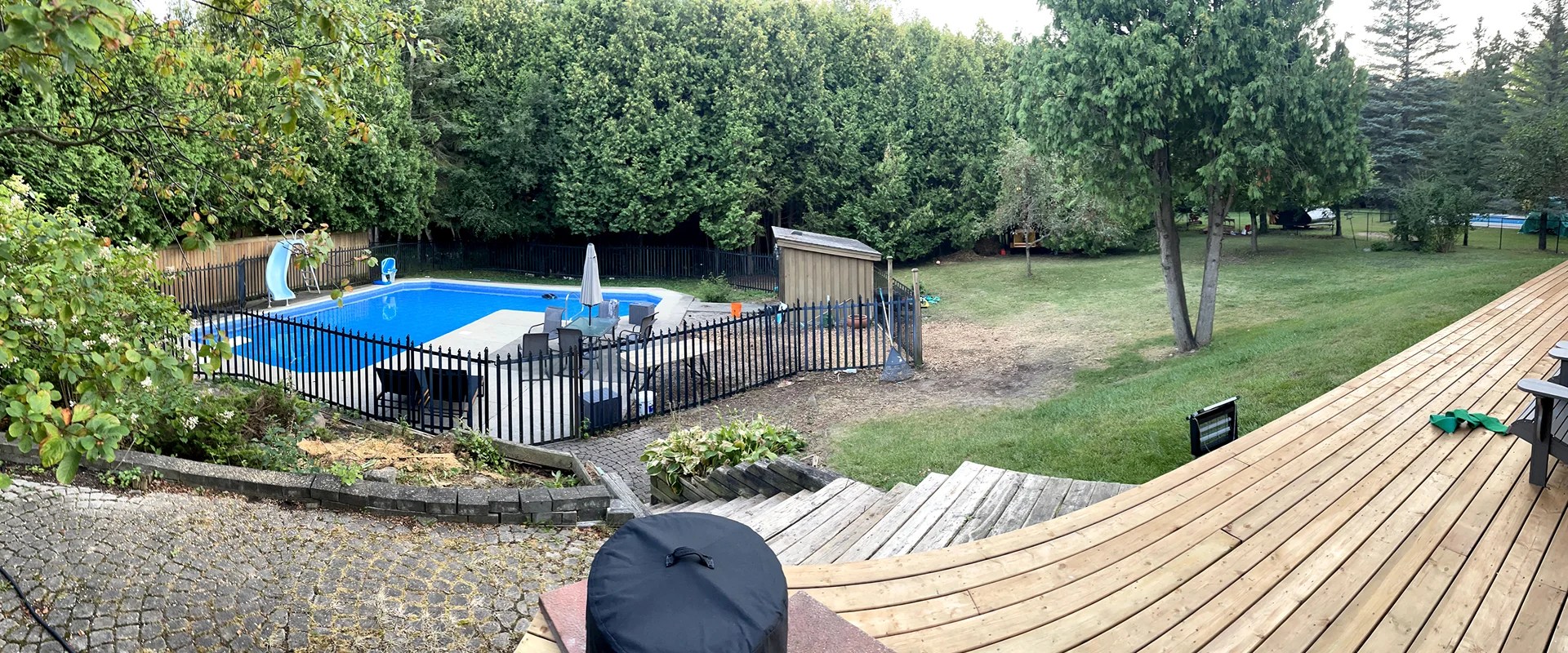 Arborist Service Guelph ON
