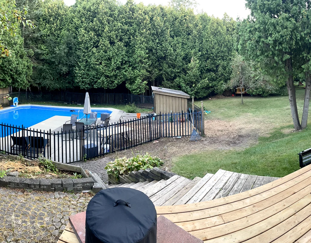 Arborist Service Guelph ON 