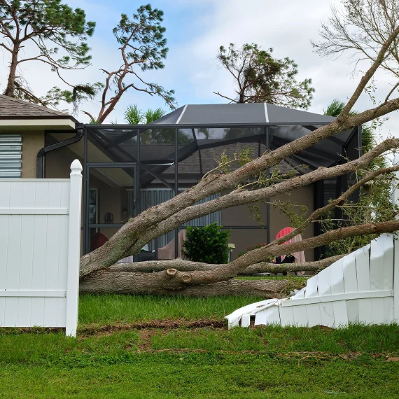 Residential Tree Services