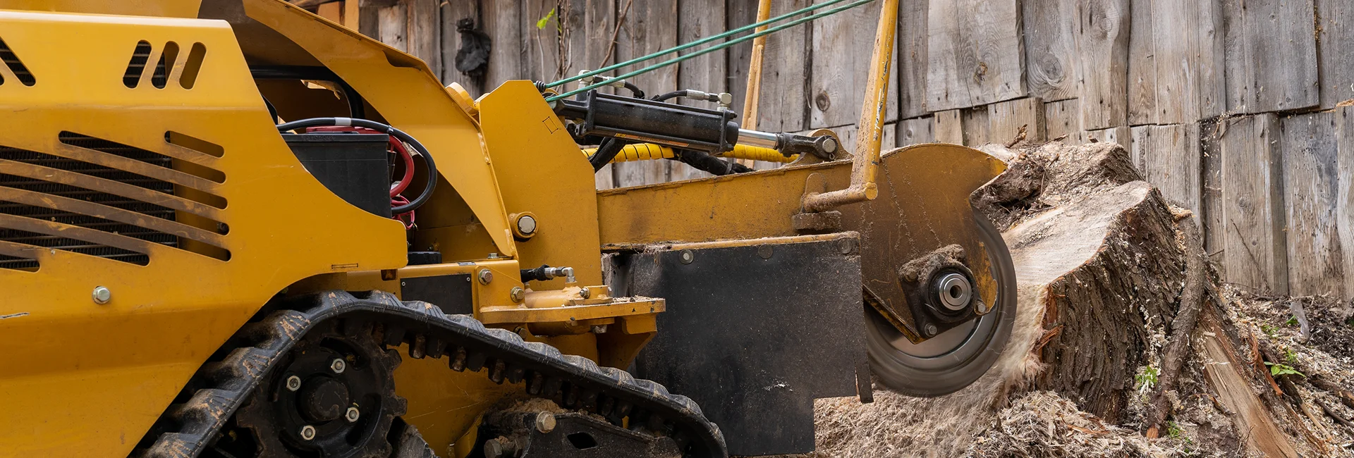 Tree Removal Solutions Guelph ON