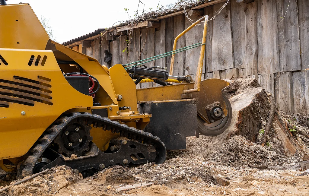 Tree Removal Solutions Guelph ON