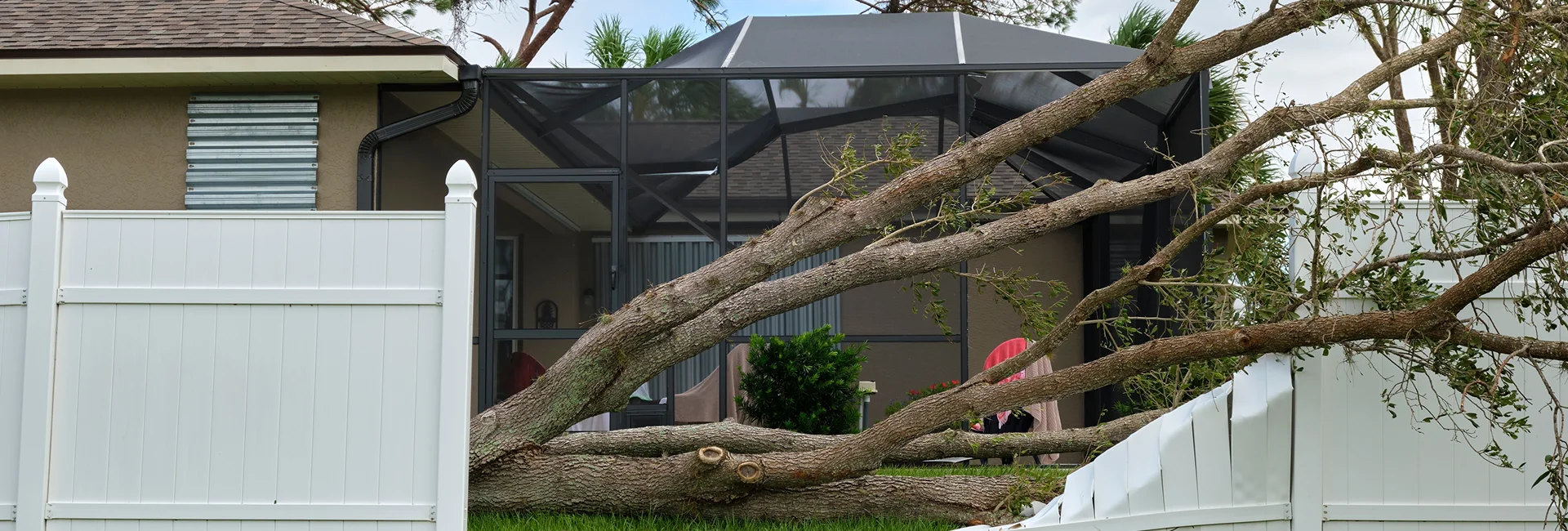 Residential Tree Services in Guelph