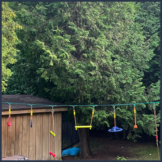 Tree Removal Services Burlington ON