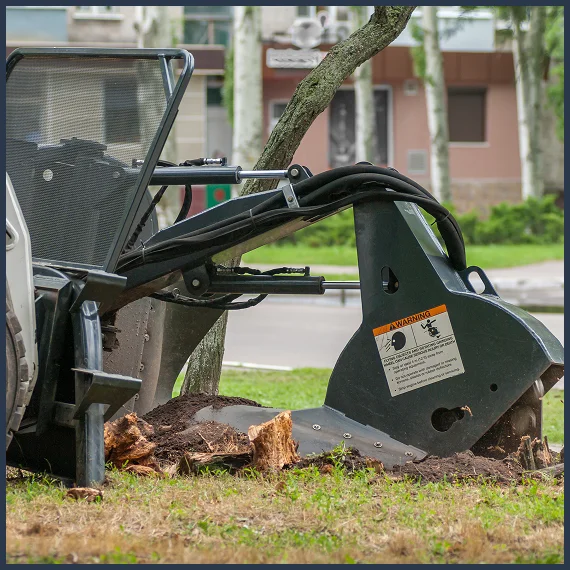 Storm Damaged Tree Removal
