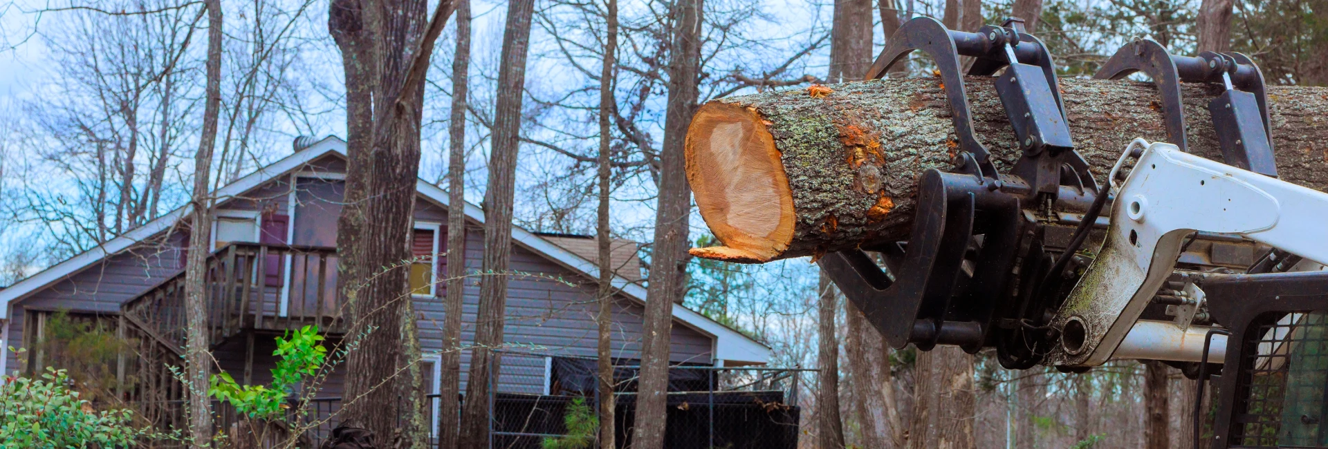Certified Arborist Hazardous Tree Removal in Guelph