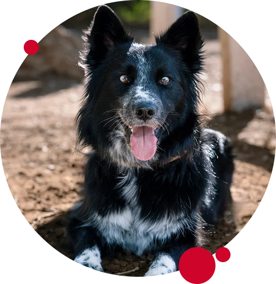 structured group programs