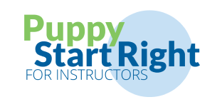 best puppy training classes