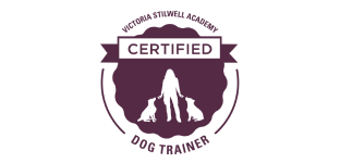 family friendly programs