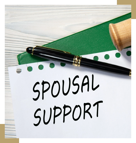 Family Law Mississauga