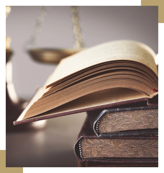 Real Estate, Immigration & Family Lawyer Burlington