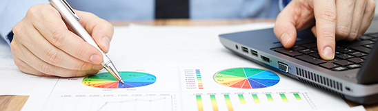 Monthly Budget – Cash Flow Analysis