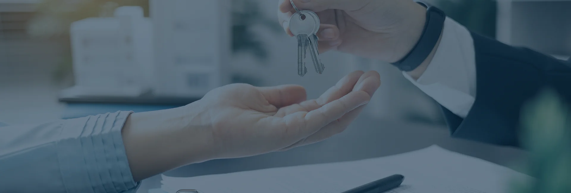 BRIDGE FINANCING
