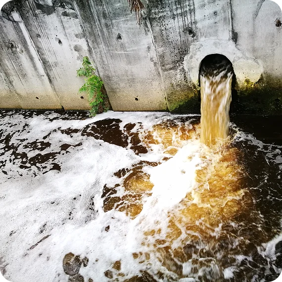 Sewer & Drain Cleaning Services Woodbridge