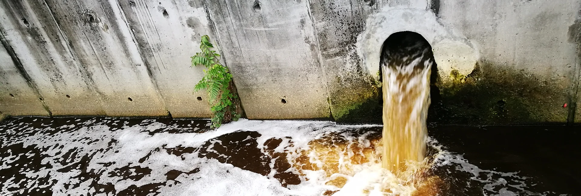 Sewer & Drain Cleaning Services Virginia, Maryland, and District of Columbia
