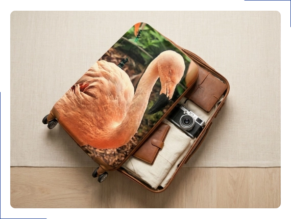 Row of suitcases with personalized photo printing on luggage in a hotel lobby.