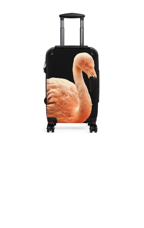Woman lifting a suitcase with bold photo printing on luggage onto a car roof.