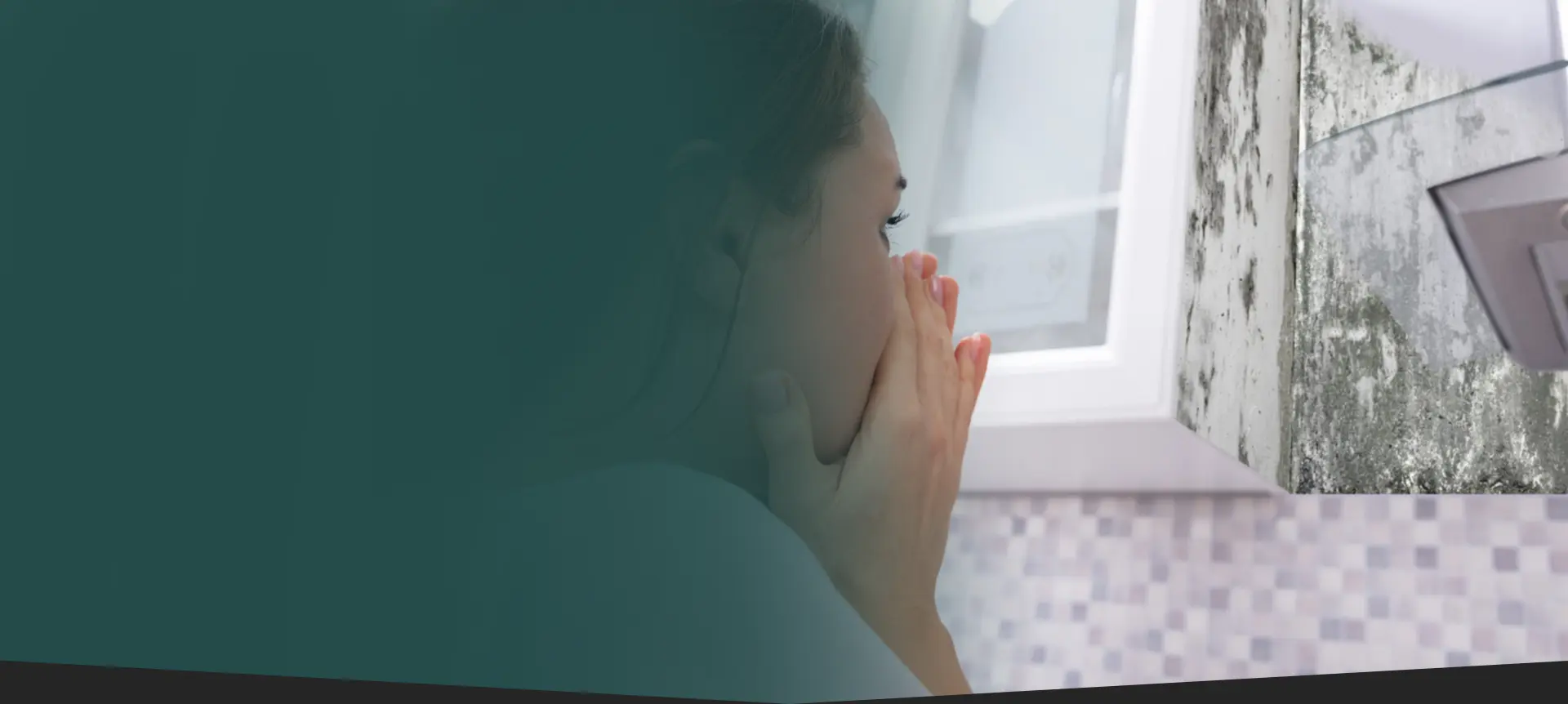 Mold Testing