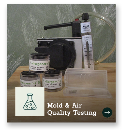 Mold & Air Quality